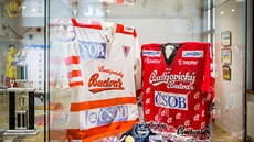 Desítky dresů, výstroj brankáře z dob dávno minulých, cenné medaile, trofejní... Desítky dresů, výstroj brankáře z dob dávno minulých, cenné medaile, trofejní...