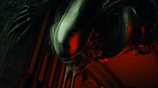 Alien: Blackout Alien: Blackout