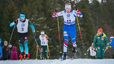 Český běžec na lyžích Miroslav Rypl na trati v Novém Městě na Moravě Český běžec na lyžích Miroslav Rypl na trati v Novém Městě na Moravě