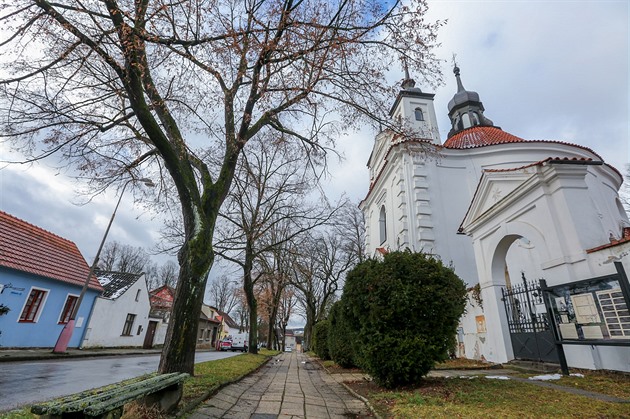 Alej listnatých strom ped kostelem svatého Michala v Bechyni má být pokácena...