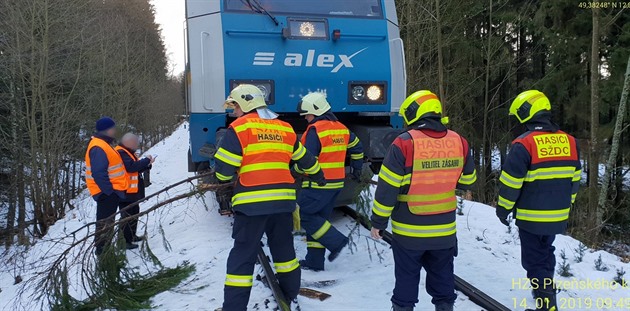 V pondlí ráno najel mezinárodní rychlík u eské Kubice na Domalicku na spadlý...