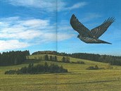 Podobně jako u knihy Pohádky o zvířátkách, která Pavlu Bezděčkovi vyšla v roce... Podobně jako u knihy Pohádky o zvířátkách, která Pavlu Bezděčkovi vyšla v roce...