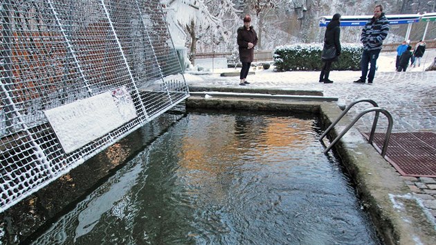 Pravoslavn vc oslavili svtek Zjeven Pn oistnou koupel v ledov vod tradin v jezrku ve Svatoskch skalch (19. ledna 2019).