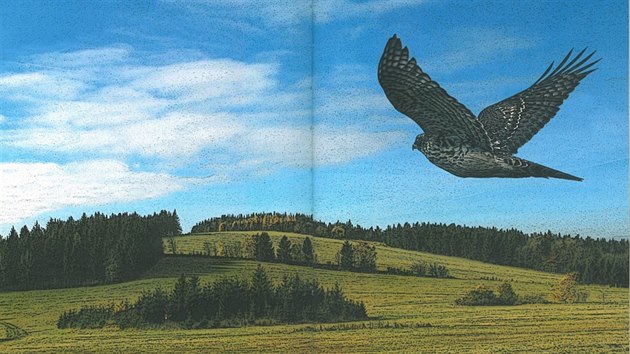 Podobn jako u knihy Pohdky o zvtkch, kter Pavlu Bezdkovi vyla v roce 2001, autor knihu Bajky a pohrky z Vysoiny ilustroval sm. Malovn, kreslen i fotografovn, to jsou dal moje velk zliby, vysvtlil.