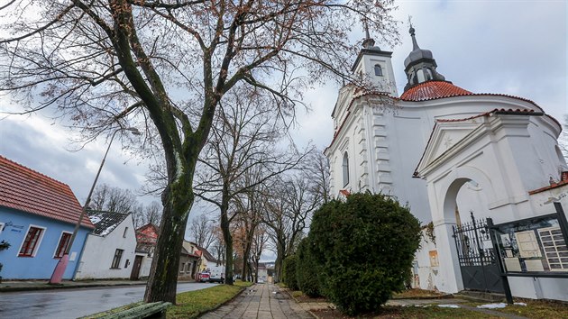 Alej listnatch strom ped kostelem svatho Michala v Bechyni m bt pokcena kvli rekonstrukci.