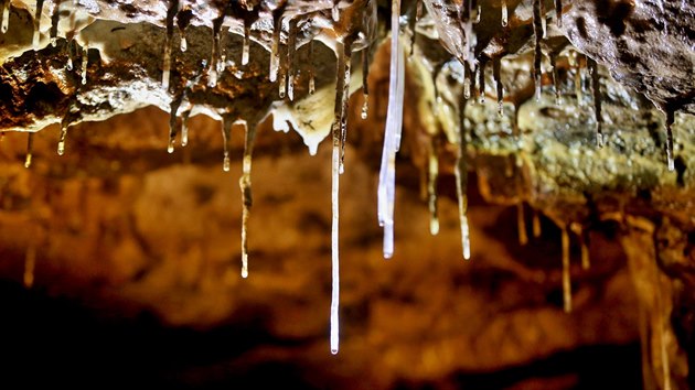 Krpnky v Amatrsk jeskyni Moravskho krasu rostou kvli nedostatku skapov vody pomaleji nebo vbec.