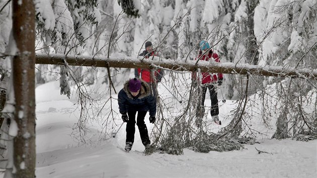 umavsk horsk sluba vydala varovn, e kvli tkmu snhu nen vhodn vyret do ternu. (12. 1. 2019)