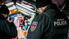 Českobudějovičtí strážníci při kontrole bývalých skleníků v ulici K. Světlé,... Českobudějovičtí strážníci při kontrole bývalých skleníků v ulici K. Světlé,...