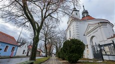 Alej listnatých stromů před kostelem svatého Michala v Bechyni má být pokácena... Alej listnatých stromů před kostelem svatého Michala v Bechyni má být pokácena...