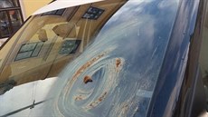 Nechutně vyzdobili auto městské policie dva výtržníci. Nechutně vyzdobili auto městské policie dva výtržníci.