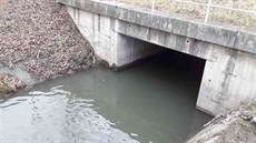 Hledaný muž převlečený za ženu se dal před policisty na útěk nejdříve potokem a... Hledaný muž převlečený za ženu se dal před policisty na útěk nejdříve potokem a...