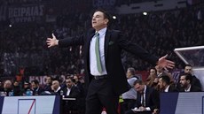 Rick Pitino, trenér Panathinaikosu, prožívá zápas s Olympiakosem. Rick Pitino, trenér Panathinaikosu, prožívá zápas s Olympiakosem.