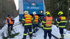V pondělí ráno najel mezinárodní rychlík u České Kubice na Domažlicku na spadlý... V pondělí ráno najel mezinárodní rychlík u České Kubice na Domažlicku na spadlý...