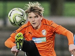 Pavel Šulc