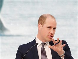 Britský princ William na Svtovém ekonomickém fóru (Davos, 22. ledna 2019)