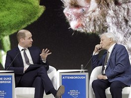 Princ William coby moderátor a jeho host David Attenborough na Svtovém...