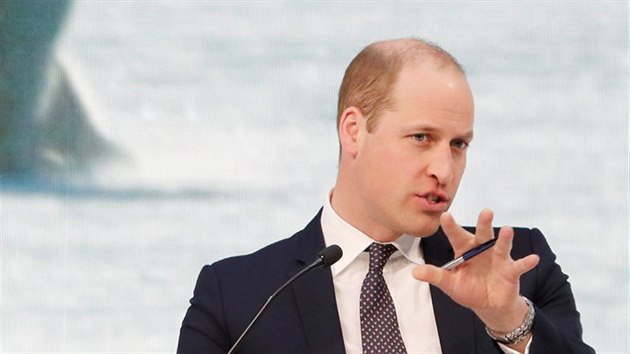 Britsk princ William na Svtovm ekonomickm fru (Davos, 22. ledna 2019)