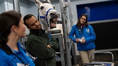 Ve francouzském Marcy-l’Etoile je každoročně hospitalizováno na 1 500 koní. Ve francouzském Marcy-l’Etoile je každoročně hospitalizováno na 1 500 koní.