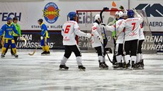 Gólová radost českých reprezentantů v bandy v duelu s Ukrajinou. Gólová radost českých reprezentantů v bandy v duelu s Ukrajinou.