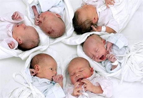Lékai kvli zjitní genové záte proví zhruba dv stovky novorozenc. (ilustraní snímek)