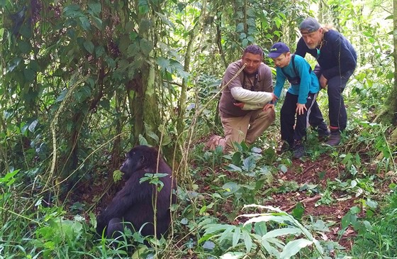 Malý hrdina výletu za horskými gorilami - desetiletý Pepa - pozoruje skupinu...