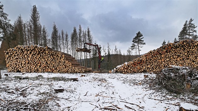 Kůrovec devastuje lesy okolo vodní nádrže Švihov. Zpracování a odvoz dřeva z... Kůrovec devastuje lesy okolo vodní nádrže Švihov. Zpracování a odvoz dřeva z...