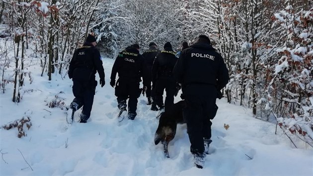 Ptrn po lupich a ukradench percch v karlovarskch lzeskch lesch. (4. 2. 2019)