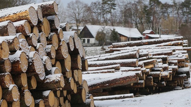 Krovec devastuje lesy okolo vodn ndre vihov. Zpracovn a odvoz deva z tchto konin je vak nesmrn sloit kol. Pokud nedojde k urychlen obnov les, me to mt podle odbornk negativn vliv na kvalitu a mnostv vody v ndri.