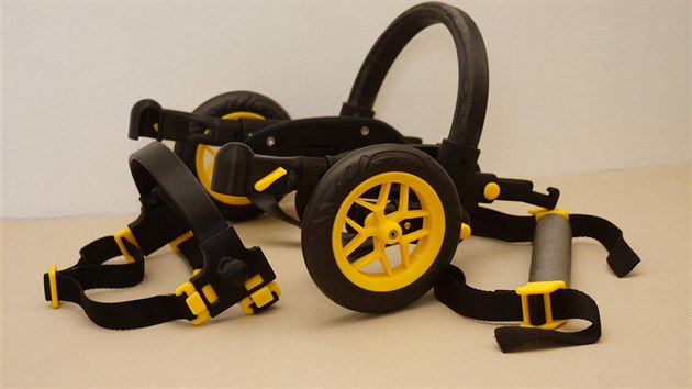 Brnnsk firma AnyoneGo vyrb pro ochrnut psy speciln vozky na zadn tlapky. Pouv k tomu 3D tiskrnu.