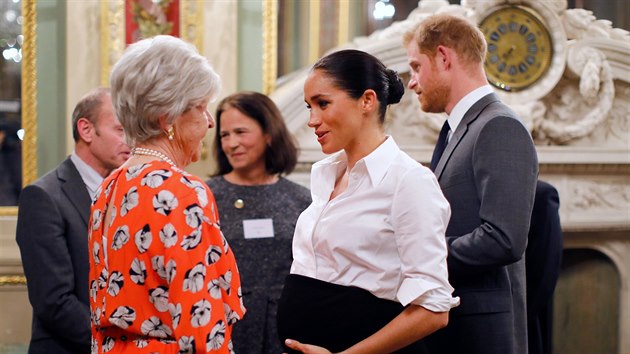 Vvodkyn Meghan a princ Harry na recepci ped udlenm cen Endeavour Fund Awards (Londn, 7. nora 2019)