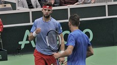 Jiří Veselý (čelem) a Lukáš Rosol se povzbuzují v daviscupové čtyřhře proti... Jiří Veselý (čelem) a Lukáš Rosol se povzbuzují v daviscupové čtyřhře proti...