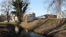 Zarostlé břehy kolem brněnského potoku Ponávka se mají změnit v území, kam lidé... Zarostlé břehy kolem brněnského potoku Ponávka se mají změnit v území, kam lidé...