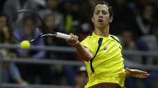 Kolumbijský tenista Daniel Galan v kvalifikaci Davis Cupu. Kolumbijský tenista Daniel Galan v kvalifikaci Davis Cupu.