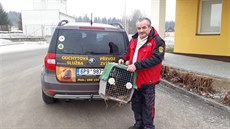 Karel Bobál zajíce z areálu věznice Kynšperk vypouští do volné přírody. Karel Bobál zajíce z areálu věznice Kynšperk vypouští do volné přírody.