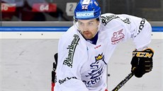 Útočník Radek Koblížek na tréninku české hokejové reprezentace. Útočník Radek Koblížek na tréninku české hokejové reprezentace.