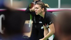 Simona Halepová na tréninku v Ostravě. Simona Halepová na tréninku v Ostravě.