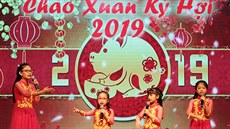 Vietnamská komunita z Karlových Varů a okolí oslavila v noci na sobotu příchod... Vietnamská komunita z Karlových Varů a okolí oslavila v noci na sobotu příchod...