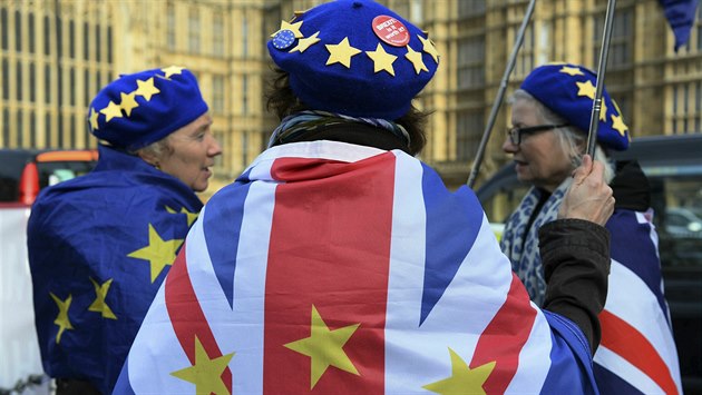 Demonstrace odpůrců brexitu v Londýně (14. února 2009) Demonstrace odpůrců brexitu v Londýně (14. února 2009)