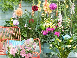 Pokud je vaí láskou rozkvetlá zahrada, dvorek nebo teba lodie plná barev,...