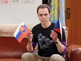 Sheldon Cooper v seriálu Teorie velkého tesku s eskou a slovenskou vlajkou