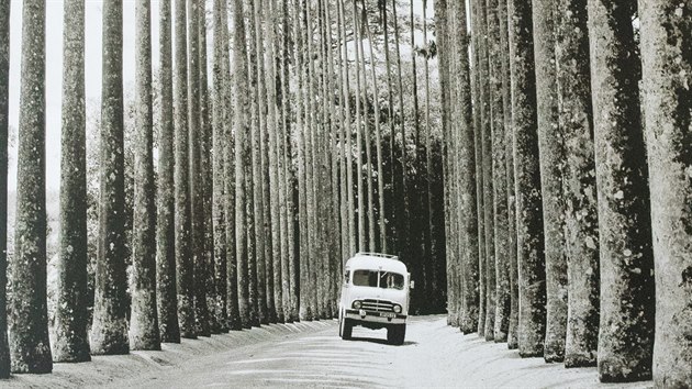 Snmek zachycuje expedin Tatru 805 v palmov aleji botanick zahrady Prdnija na Cejlonu v roce 1961.