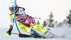 Česká lyžařka Gabriela Capová projíždí slalomem na mistrovství světa v Aare. Česká lyžařka Gabriela Capová projíždí slalomem na mistrovství světa v Aare.