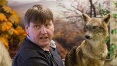 Od března doplní vycpaný šakal expozici českolipské fauny v místním muzeu.... Od března doplní vycpaný šakal expozici českolipské fauny v místním muzeu....