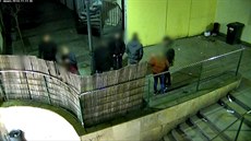 Rozjívení výrostci ničili rákosový plot Rozjívení výrostci ničili rákosový plot