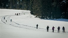 Běžkaři v okolí Kvildy si užívají slunečného počasí. Běžkaři v okolí Kvildy si užívají slunečného počasí.