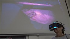 „U potápění si někteří zvolí právě útok žraloka na klec, ve které v té... „U potápění si někteří zvolí právě útok žraloka na klec, ve které v té...