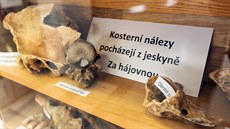 U příležitosti výročí 50 let vzniku prostějovské skupiny jeskyňářů Speleo... U příležitosti výročí 50 let vzniku prostějovské skupiny jeskyňářů Speleo...