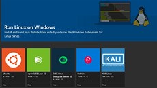 Nabídka linuxových distribucí pro Windows. Nabídka linuxových distribucí pro Windows.