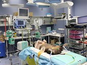 Testování stimulátoru bloudivého nervu provádějí plzeňští vědci na prasatech. Testování stimulátoru bloudivého nervu provádějí plzeňští vědci na prasatech.