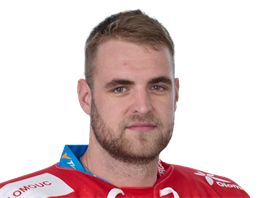 David Škůrek